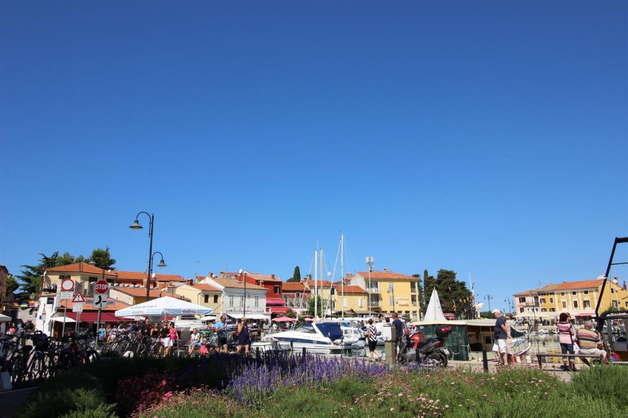 דירות Novigrad Istria Gianna A4+2 מראה חיצוני תמונה